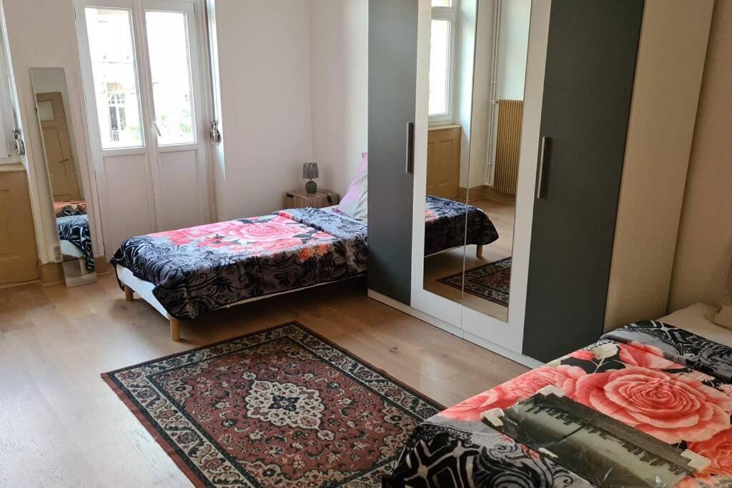 Grand 4P Strasbourg Orangerie 7 Personnes Proche D Allemagne Exterior foto
